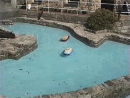 The radio-controlled boats at the Heritage and Shipwreck Museum, Charlestown